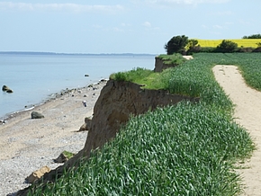 Schönhagen Ostsee Steilküste