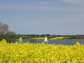Naturschutzgebiet Schlei Schönhagen Ostsee
