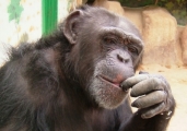 Tierpark Gettorf