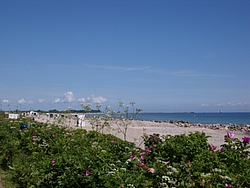 Ostsee Strand Schönhagen